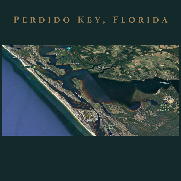 AmonRusso Team at Sotheby's International Realty Real Estate in